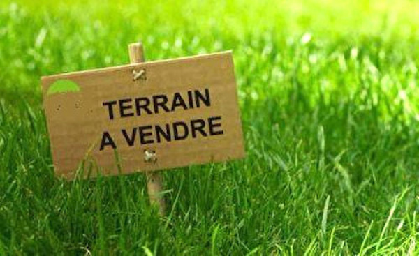 Terrain Disponible